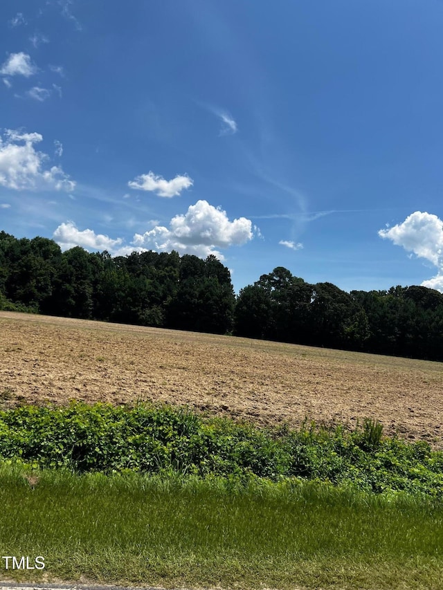 0 Plain View Church Rd, Angier, NC 27501 - photo 3