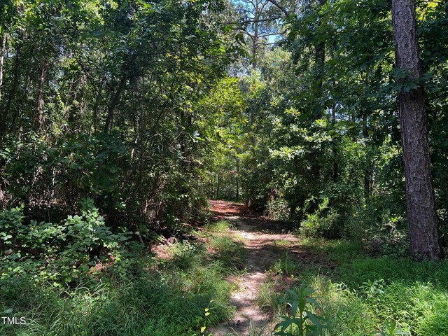 0 Plain View Church Rd, Angier, NC 27501 - photo 6