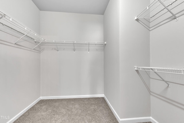 11001 Louson Pl, Raleigh, NC 27614 - photo 27