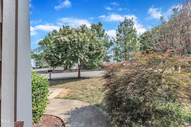 11001 Louson Pl, Raleigh, NC 27614 - photo 37