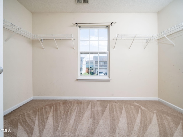 2868 Orchard Trace Way, Raleigh, NC 27610 - photo 8