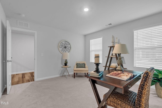 169 Daisy Meadow Ln, Wake Forest, NC 27587 - photo 56