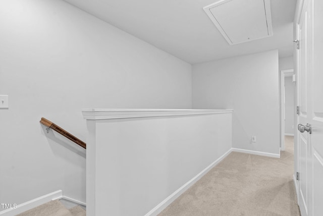 169 Daisy Meadow Ln, Wake Forest, NC 27587 - photo 36