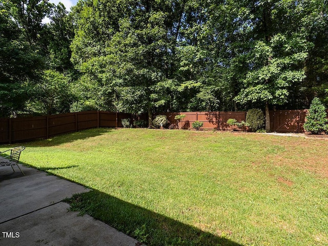 600 Hawthorn Ridge Dr, Whitsett, NC 27377 - photo 33