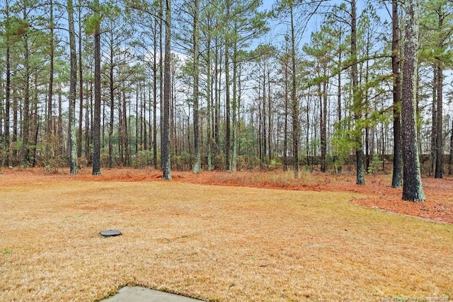 90 Orchad Falls Dr, Spring Lake, NC 28390 - photo 17