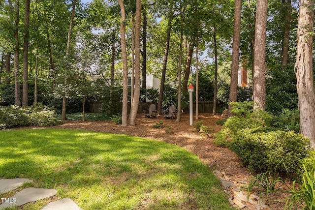 117 High Country Dr, Cary, NC 27513 - photo 46