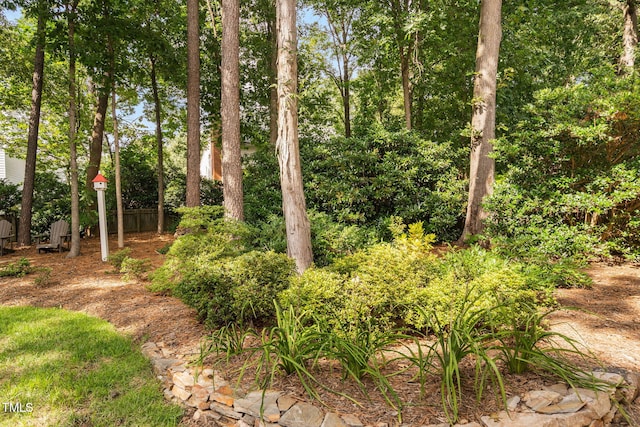 117 High Country Dr, Cary, NC 27513 - photo 47