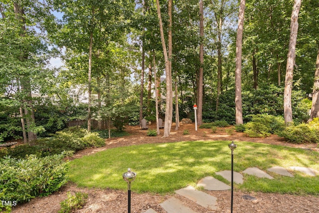 117 High Country Dr, Cary, NC 27513 - photo 50