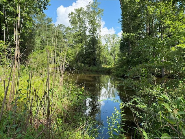 1111 Hollow Bridge Rd, Autryville, NC 28318 - photo 1