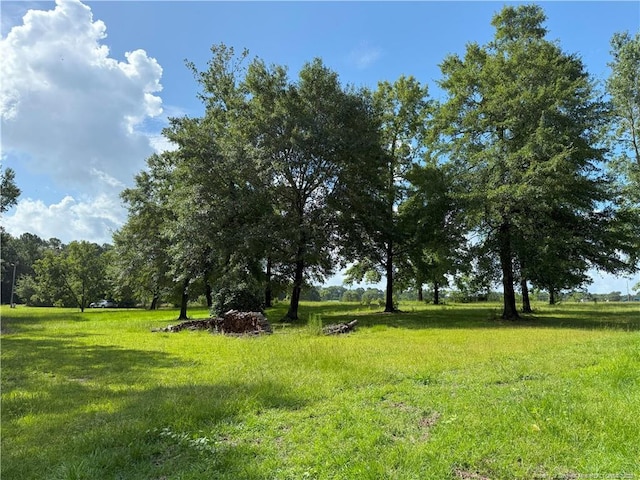 1111 Hollow Bridge Rd, Autryville, NC 28318 - photo 9