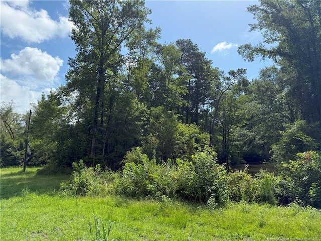 1111 Hollow Bridge Rd, Autryville, NC 28318 - photo 10