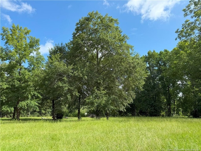 1111 Hollow Bridge Rd, Autryville, NC 28318 - photo 12