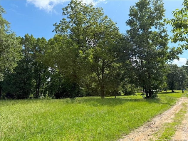 1111 Hollow Bridge Rd, Autryville, NC 28318 - photo 13