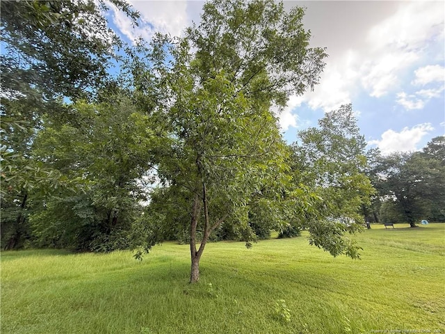 1111 Hollow Bridge Rd, Autryville, NC 28318 - photo 14