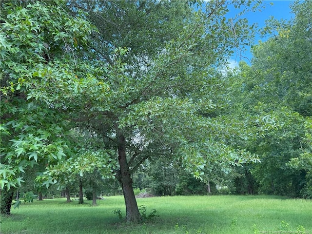 1111 Hollow Bridge Rd, Autryville, NC 28318 - photo 15