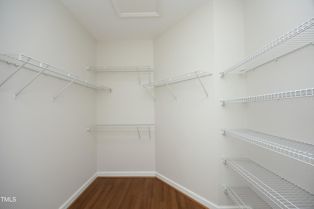 1432 Antiquity Ave, Raleigh, NC 27613 - photo 22