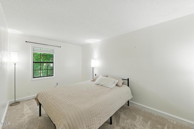 53 Willow Bridge Dr, Durham, NC 27707 - photo 24
