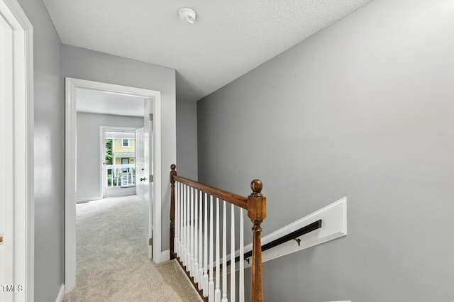 53 Willow Bridge Dr, Durham, NC 27707 - photo 16