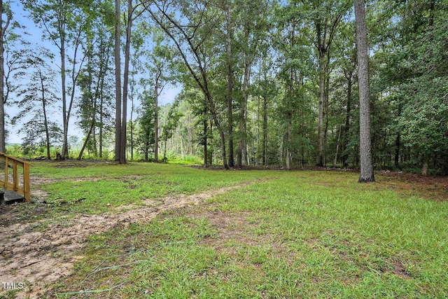 541 New Elam Church Rd, Moncure, NC 27559 - photo 34