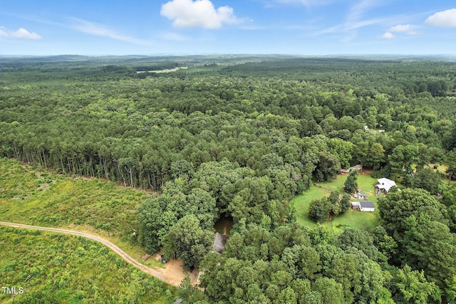 541 New Elam Church Rd, Moncure, NC 27559 - photo 38