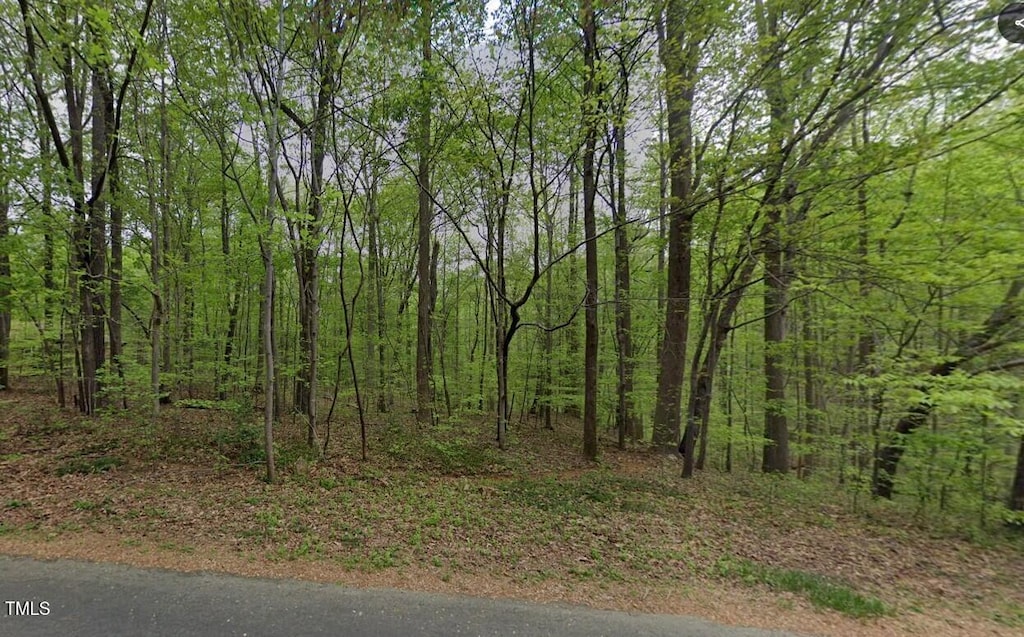 6017 Splitrock Trl, Apex, NC 27539 - photo 1