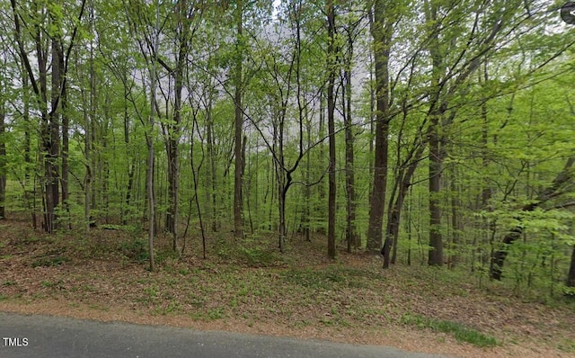 6017 Splitrock Trl, Apex, NC 27539 - photo 1