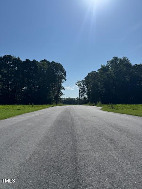 1643 Hannah Creek Rd, Benson, NC 27504 - photo 4