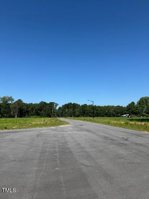 1643 Hannah Creek Rd, Benson, NC 27504 - photo 5