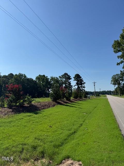 1643 Hannah Creek Rd, Benson, NC 27504 - photo 8