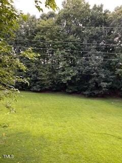 2005 Shenandoah Rd, Raleigh, NC 27603 - photo 3