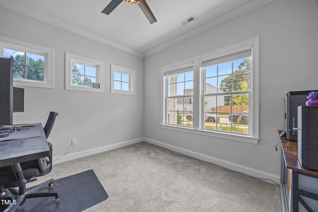1097 Bellewood Park Dr, Angier, NC 27501 - photo 30