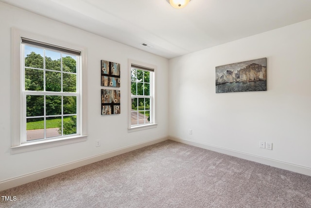 106 Elk River Ct, Mebane, NC 27302 - photo 24