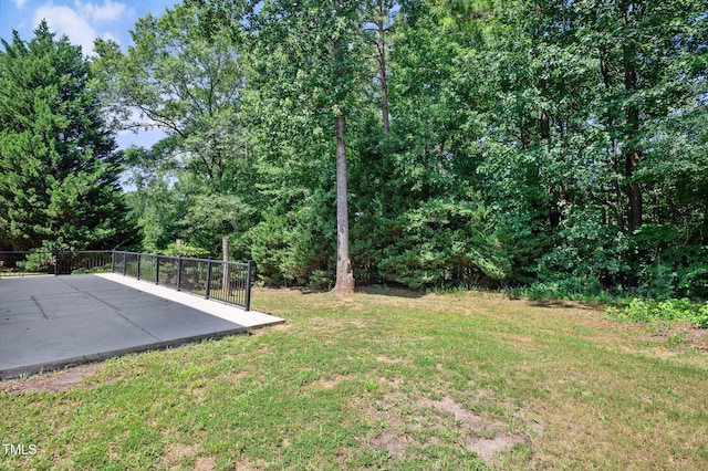 3805 Mike Levi Ct, Raleigh, NC 27610 - photo 5