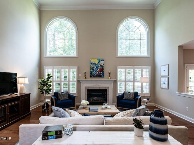 9017 Winged Thistle Ct, Raleigh, NC 27617 - photo 8
