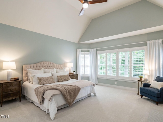 9017 Winged Thistle Ct, Raleigh, NC 27617 - photo 18