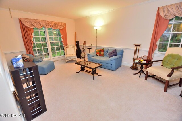 117 Tam O Shanter Dr, Rocky Mount, NC 27804 - photo 8
