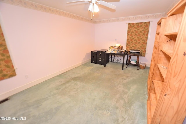 117 Tam O Shanter Dr, Rocky Mount, NC 27804 - photo 15