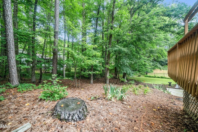 1010 Castalia Dr, Cary, NC 27513 - photo 27