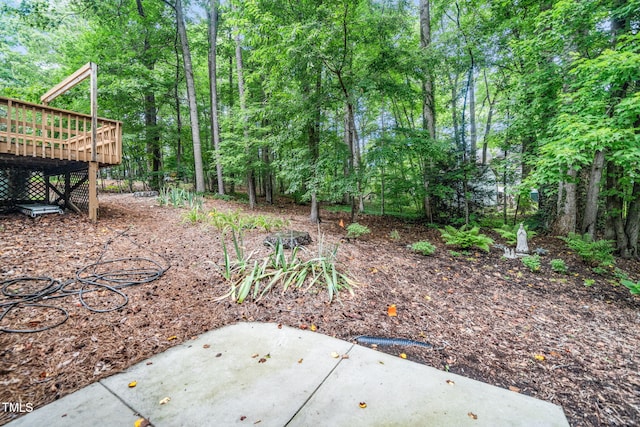 1010 Castalia Dr, Cary, NC 27513 - photo 28