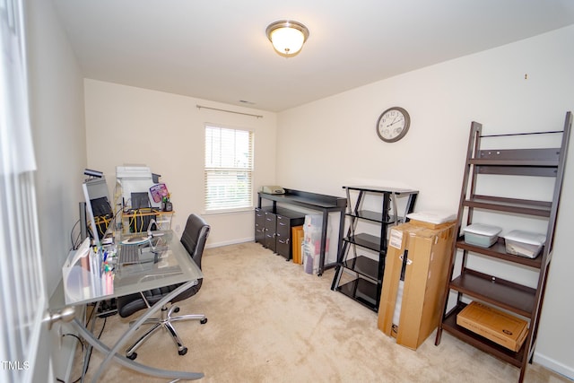 1712 Mallard Trace Dr, Wendell, NC 27591 - photo 17