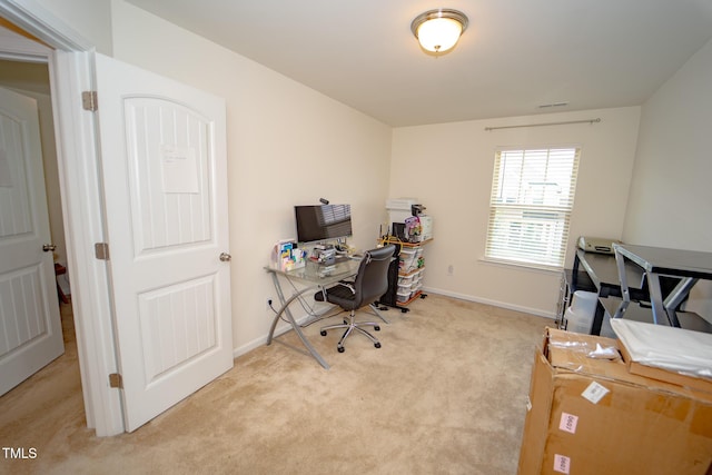 1712 Mallard Trace Dr, Wendell, NC 27591 - photo 18
