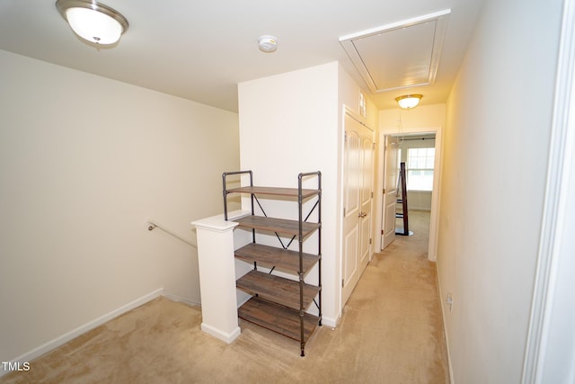 1712 Mallard Trace Dr, Wendell, NC 27591 - photo 25