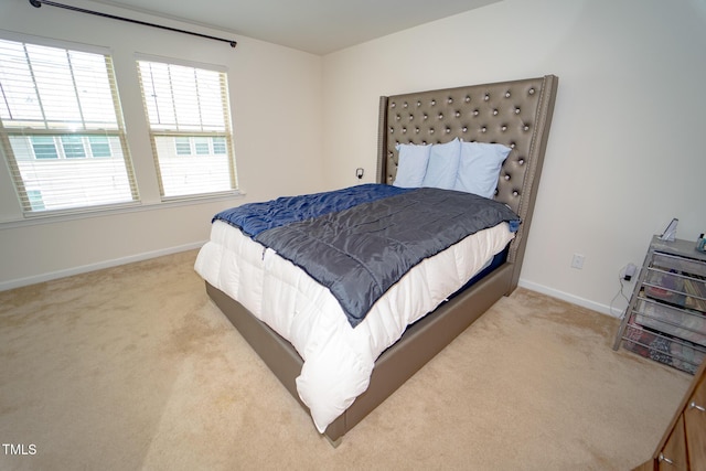 1712 Mallard Trace Dr, Wendell, NC 27591 - photo 27