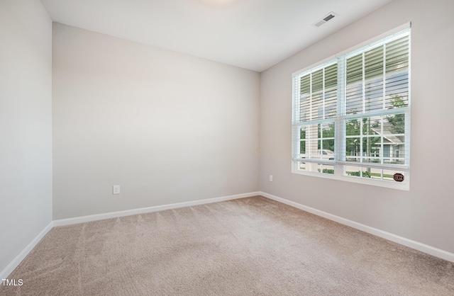 1110 W Wellwater Ave, Durham, NC 27703 - photo 5