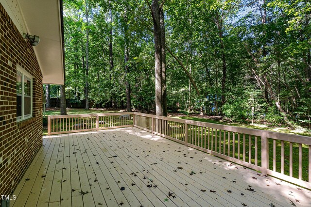 1504 Edwards Dr, Chapel Hill, NC 27516 - photo 17