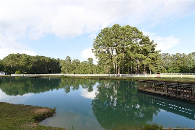 1054 Pittman Rd, Lumberton, NC 28358 - photo 36