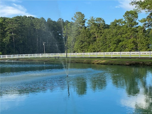 1054 Pittman Rd, Lumberton, NC 28358 - photo 37
