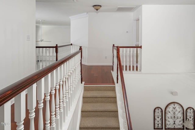 1059 Torrence Dr, Apex, NC 27502 - photo 28