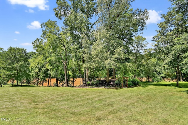 206 Olde Ferry Ln, Dunn, NC 28334 - photo 89