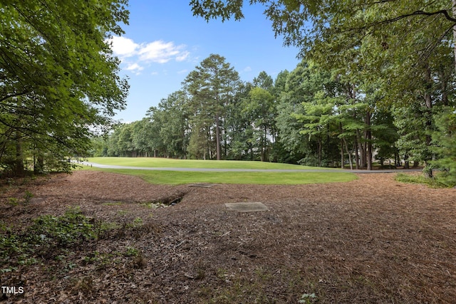 325 Hogans Valley Way, Cary, NC 27513 - photo 54